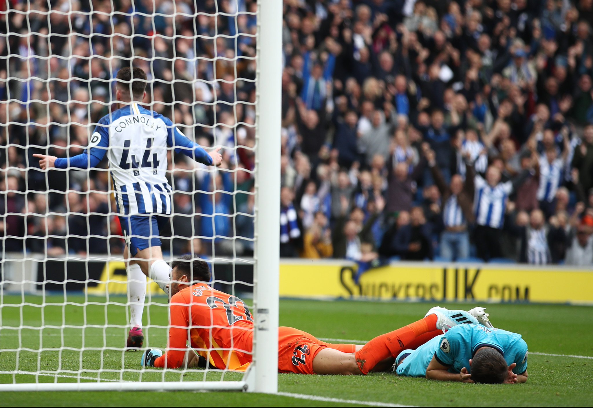 两个漂亮的 两个漂亮的