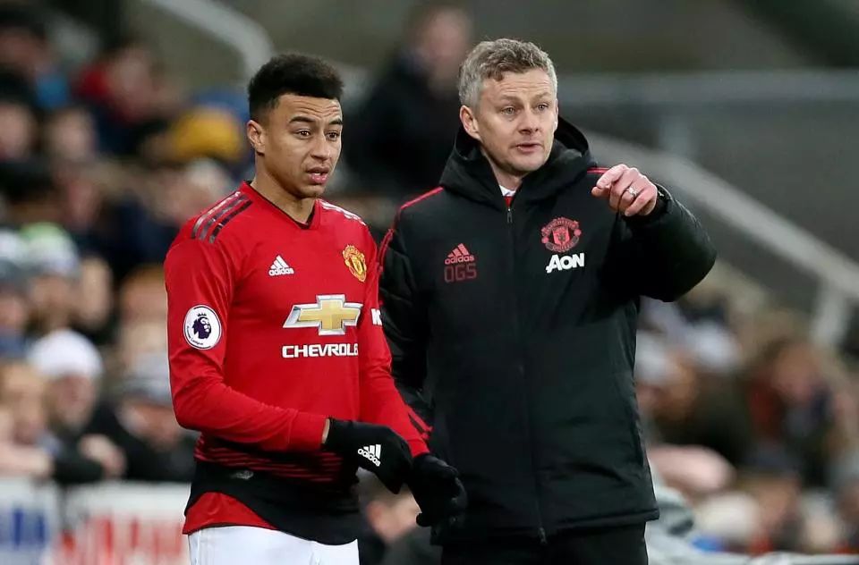 这不仅证明 这不仅证明